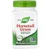 Nature's Way Nature's Way, Horsetail Grass, 440 mg, 100 Vegan Capsules