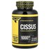 Primaforce Primaforce, Cissus (Cissus Quadrangularis), 120 Capsules (500 mg per Capsule)