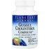 Planetary Herbals Planetary Herbals, Ayurvedics, Guggul Cholesterol Compound™, 90 Tablets