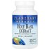 Planetary Herbals Planetary Herbals, Holy Basil Extract, 450 mg, 120 Capsules