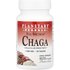 Planetary Herbals Planetary Herbals, Full Spectrum™ Chaga, 30 Tablets
