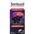 Sambucol Sambucol, Black Elderberry, Effervescent Tablets + Vitamin C & Zinc, Age 4+, 15 Effervescent Tablets
