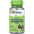 Solaray Solaray, True Herbs, Echinacea Elderberry, 100 VegCaps