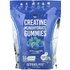 Steelfit SteelFit, Creatine Monohydrate Gummies, Blue Raspberry, 120 Gummies