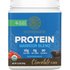 Sunwarrior Sunwarrior, Warrior Blend, Protein, Chocolate, 13.2 oz (375 g)
