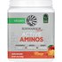 Sunwarrior Sunwarrior, Sport, Active Aminos, Mango, 1.25 lb (570 g)