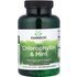 Swanson Vitamins Swanson Vitamins, Chlorophyllin & Mint, 500 Chewable Tablets