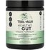 Terra Origin Terra Origin, Healthy Gut™, Vegan Formula, 8.7 oz (246.6 g)