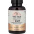 Terra Origin Terra Origin, Healthy Gut™, Immunity Boost, 90 Capsules
