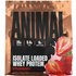 Animal Animal, Isolate Loaded Whey Protein™ Powder, Strawberry, 2 lb (907 g)
