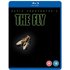 The Fly