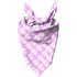 Skulls Pet Bandana - S