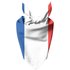 French Flag Pet Bandana - M