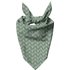 Green Bones Pet Bandana - L