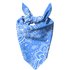 Sky Blue Paisley Pet Bandana - Medium