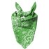 Bright Green Paisley Pet Bandana - Large