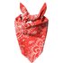 Red Paisley Pet Bandana - Small
