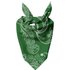 Dark Green Paisley Pet Bandana - Large