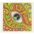The 13th Floor Elevators - The Psychedelic Sounds Of The 13th Floor Elevators Vinyl 2LP (Red & Green)