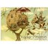 Le voyage d'hermes
