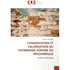Conservation et valorisation du patrimoine sonore du mozambique