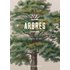 Arbres - Lignes de vie - Luc Menapace - Bibliothèque Nationale De France - broché - Guide