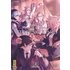 Tales of wedding rings - Tome 14