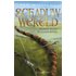 Schaduwwereld 3 - Schaduwval - Tad Williams (ISBN: 9789024556236) - Tad Williams