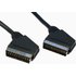 0.5m Short Scart Lead