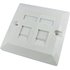 Single CAT5e 2-Port Faceplate