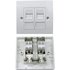 Dual CAT6A Shielded RJ45 Network Faceplate
