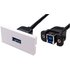 USB3 Euro Module Faceplate USB3A to USB3B Female at Rear