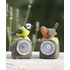 Damart Solar Bird Set