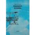 Frammenti in ombra