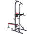 BodyTrain Power Tower and Weight Bench