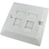 2 Port Cat5e Loaded Faceplate - Single Gang