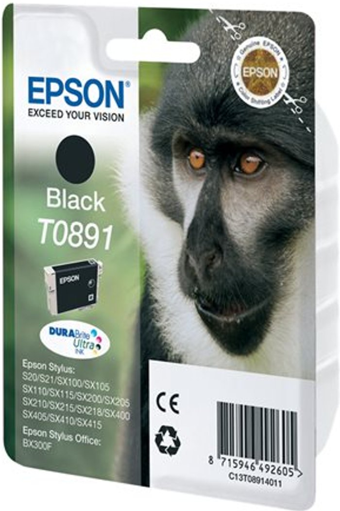 Currys Business | Epson Epson T0891 - black - original - ink cartridge Epson Epson T0891 - black - original - ink cartridge