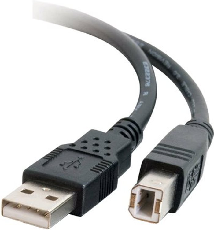 Currys Business | CABLES TO GO C2G - USB cable - USB to USB Type B - 2 m CABLES TO GO C2G - USB cable - USB to USB Type B - 2 m
