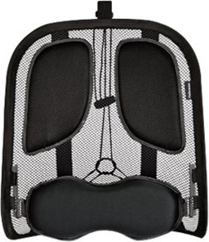 Currys Business | Fellowes Fellowes Professional - back support - graphite Fellowes Fellowes Professional - back support - graphite