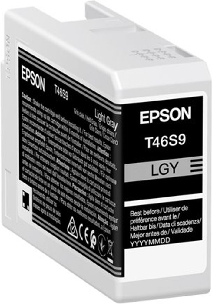 Currys Business | Epson Epson UltraChrome Pro T46S9 - light grey - original - ink tank Epson Epson UltraChrome Pro T46S9 - light grey - original - ink tank