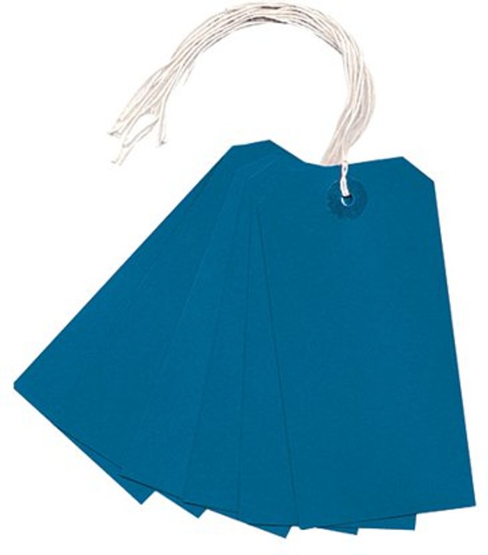 Office Monster | Unbranded Strung Tag 120x60mm Blue (Pack of 1000) KF01625 Unbranded Strung Tag 120x60mm Blue (Pack of 1000) KF01625