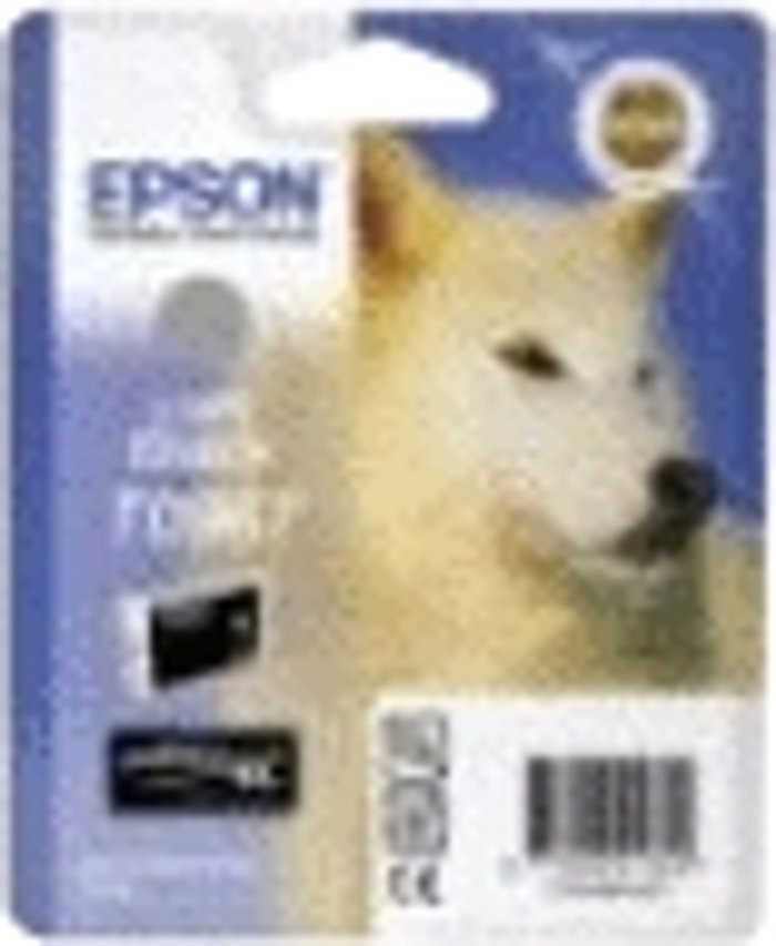 Currys Business | Epson Ink Cartridge - Light Black (R2880) Epson Ink Cartridge - Light Black (R2880)