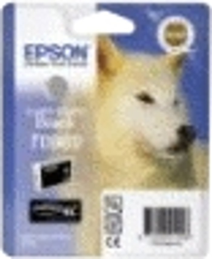Currys Business | Epson Ink Cartridge - Light Light Black (R2880) Epson Ink Cartridge - Light Light Black (R2880)