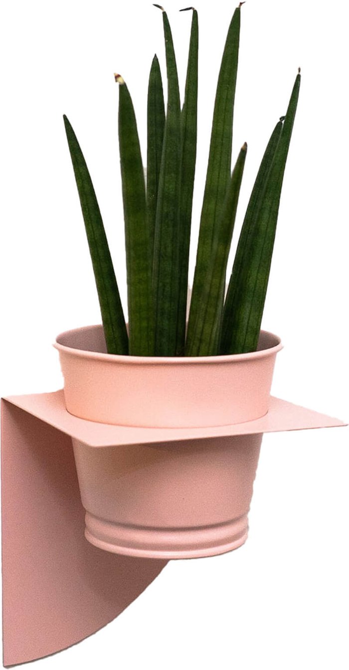 The Hut UK | Peg & Board Peg & Board Arc Planter & Pot - Blush Pink Peg & Board Peg & Board Arc Planter & Pot - Blush Pink