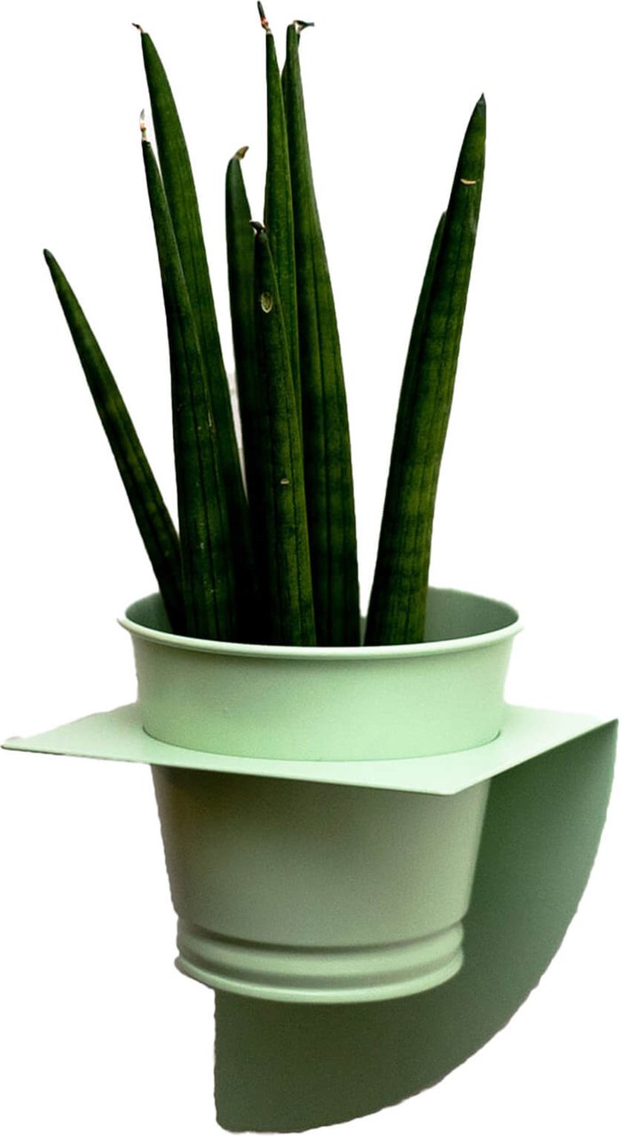 The Hut UK | Peg & Board Peg & Board Arc Planter & Pot - Mint Green Peg & Board Peg & Board Arc Planter & Pot - Mint Green