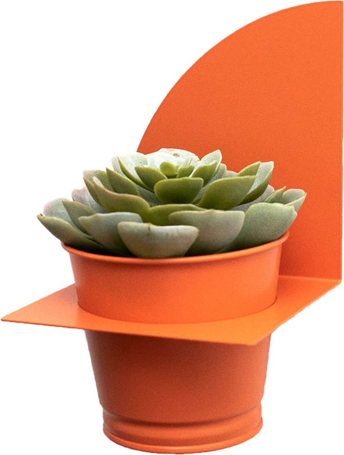 The Hut UK | Peg & Board Peg & Board Arc Planter & Pot - Coral Orange Peg & Board Peg & Board Arc Planter & Pot - Coral Orange