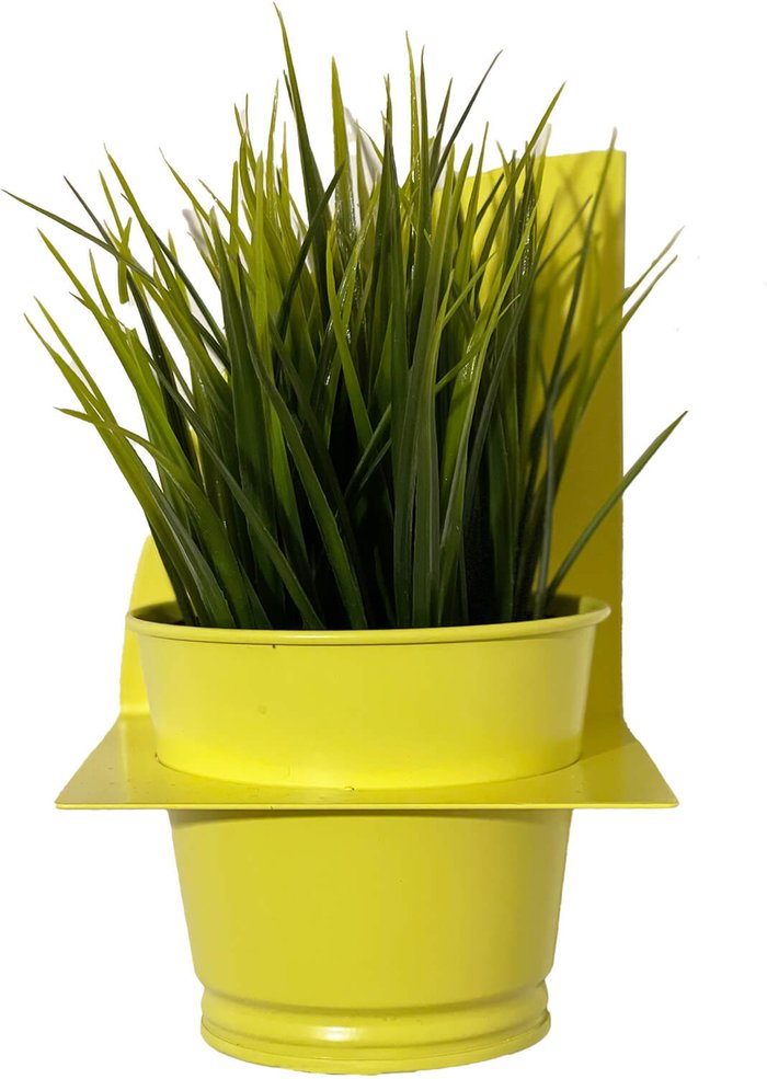 The Hut UK | Peg & Board Peg & Board Arc Planter & Pot - Lemon Peg & Board Peg & Board Arc Planter & Pot - Lemon