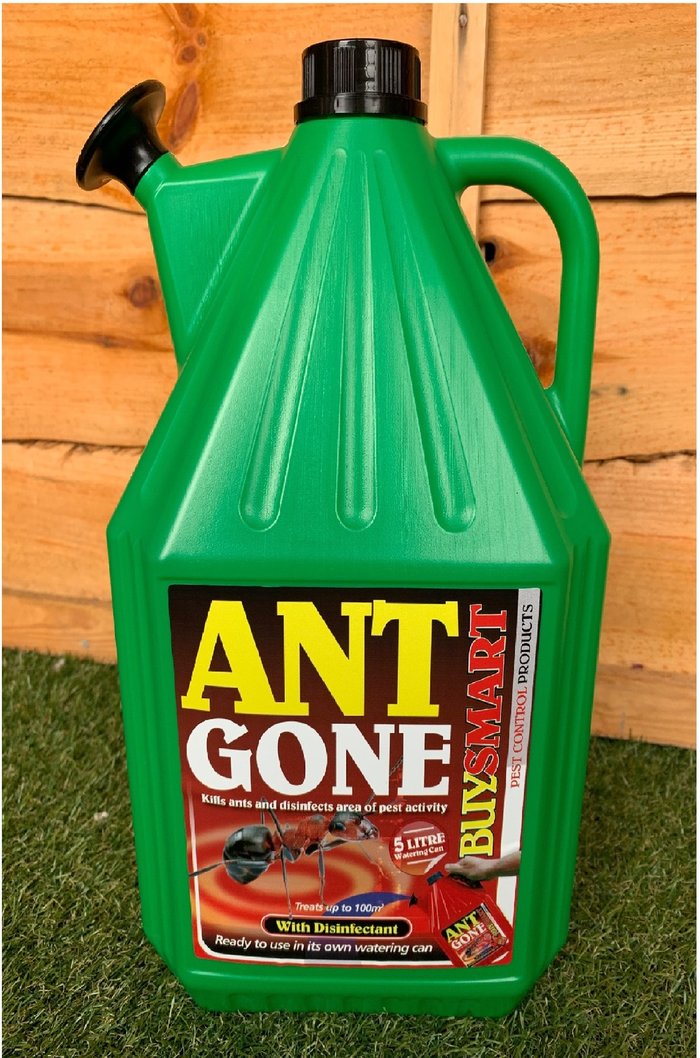 The Range | Buy Smart Ant Gone Watering Can Ready To Use Ant Killer Disinfectant 5L - Clear Buy Smart Ant Gone Watering Can Ready To Use Ant Killer Disinfectant 5L - Clear