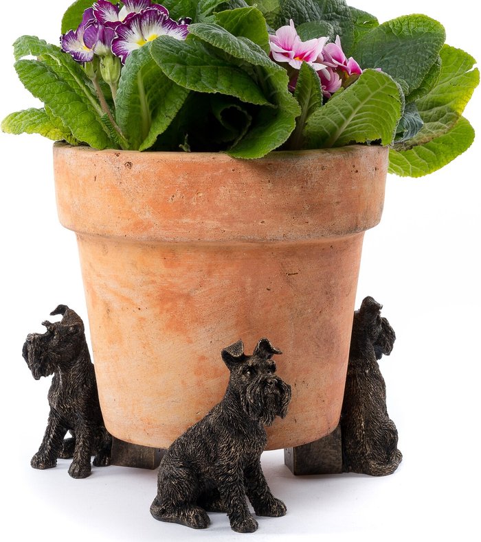 The Range | Potty Feet Cockapoo Plant Pot Feet - Set of 3 - Antique Bronze Potty Feet Cockapoo Plant Pot Feet - Set of 3 - Antique Bronze