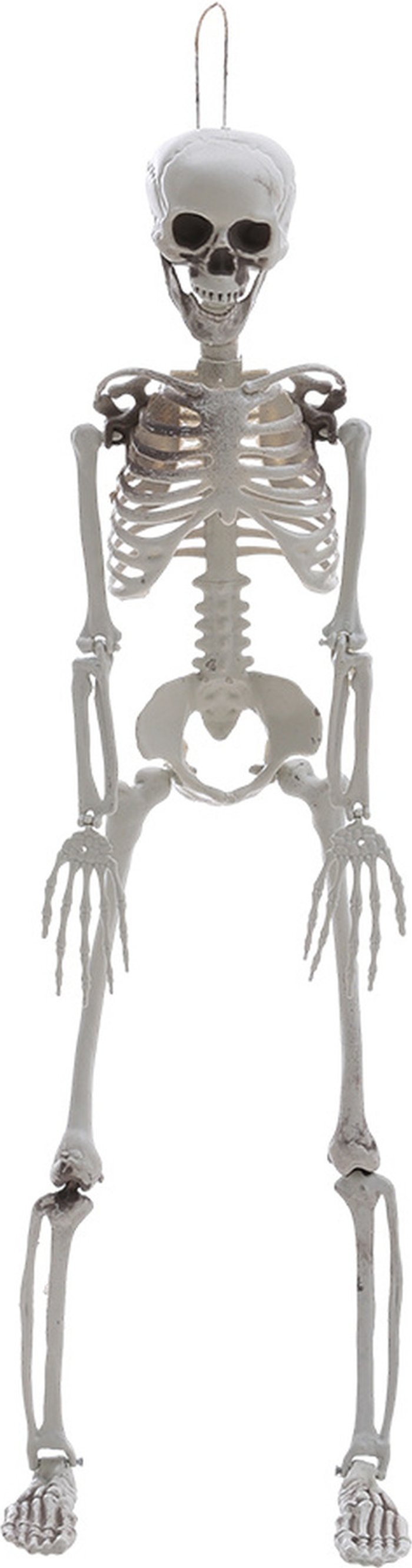 The Range | Livingandhome 85CM Hanging Poseable Skeleton Halloween Decoration - White Livingandhome 85CM Hanging Poseable Skeleton Halloween Decoration - White